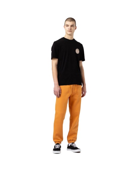 Dickies - Camiseta Woodinville SS