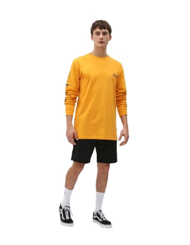 Dickies - Pantalón Corto Champlin