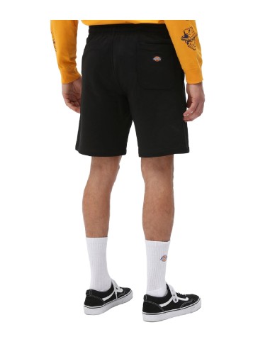 Dickies - Pantalón Corto Champlin