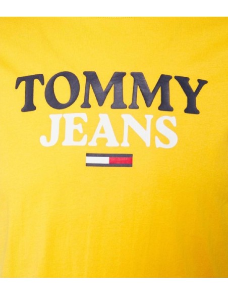 Tommy Hilfiger - Camiseta Entry Graphic