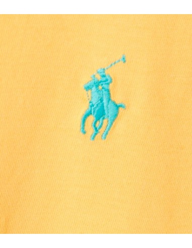 Polo Ralph Lauren - Camiseta Custom Slim