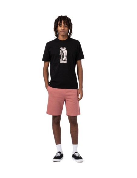 Dickies - Pantalón Corto Champlin