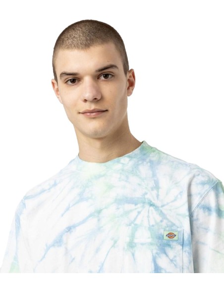 Dickies - Camiseta S/S Seatac