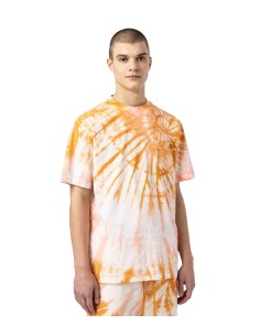 Dickies - Camiseta Seatac S/S