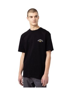 Dickies - Camiseta Fort Lewis S/S