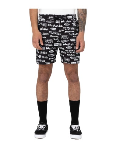 Dickies - Pantalón 100 AOP