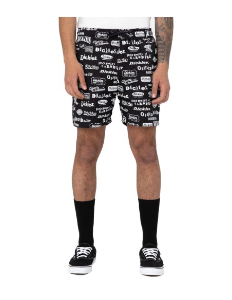 Dickies - Pantalón 100 AOP