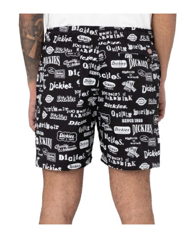 Dickies - Pantalón 100 AOP