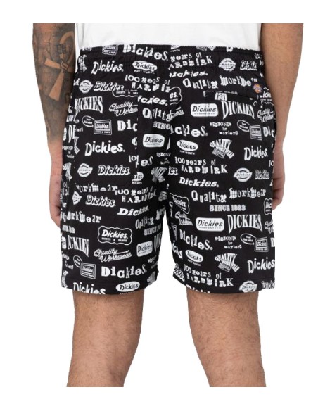 Dickies - Pantalón 100 AOP