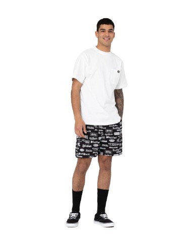 Dickies - Pantalón 100 AOP