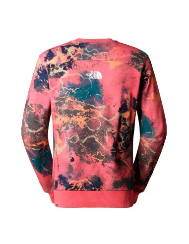 The North Face - Sudadera Summer Logo