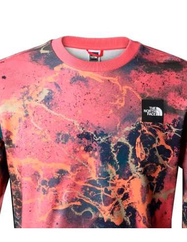 The North Face - Sudadera Summer Logo