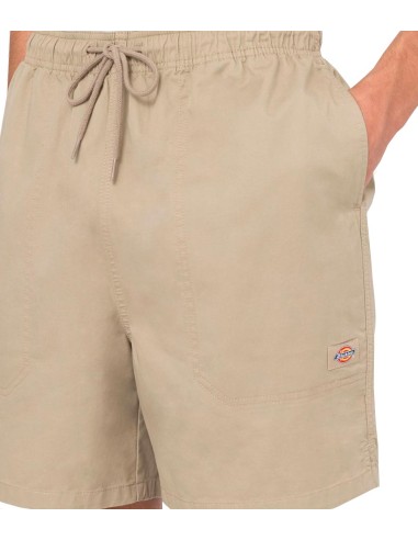 Dickies - Pantalón Pelican Rapids