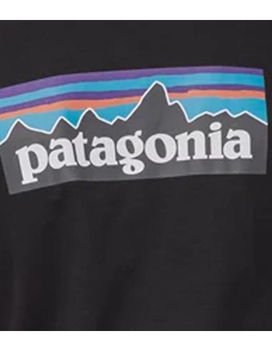 Patagonia - Camiseta P-6 Logo Responsibili-Tee