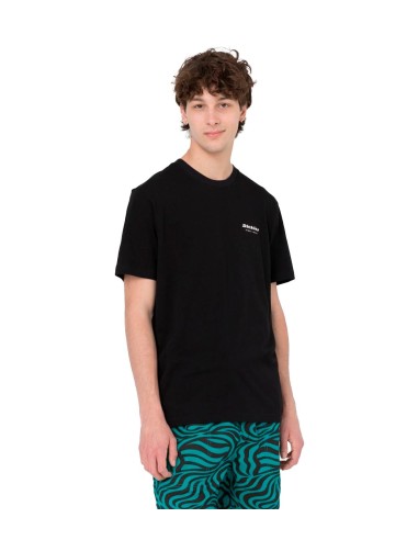 Dickies - Camiseta Leesburg Box