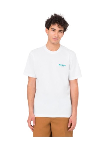 Dickies - Camisetas Clackamas Box Tee Ss