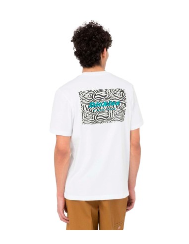 Dickies - Camisetas Clackamas Box Tee Ss