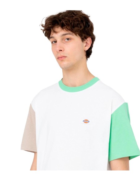 Dickies - Camiseta Eddyville