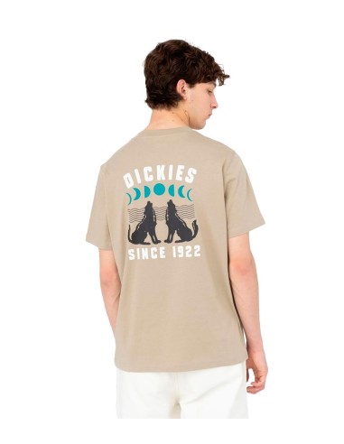 Dickies - Camisetas Kerby Tee Ss