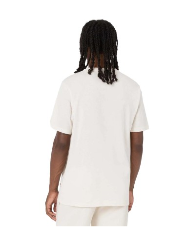 Dickies - Camiseta SS Mapleton