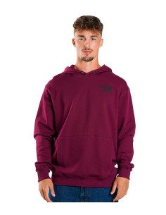 The North Face - Sudadera con Capucha Coordinates