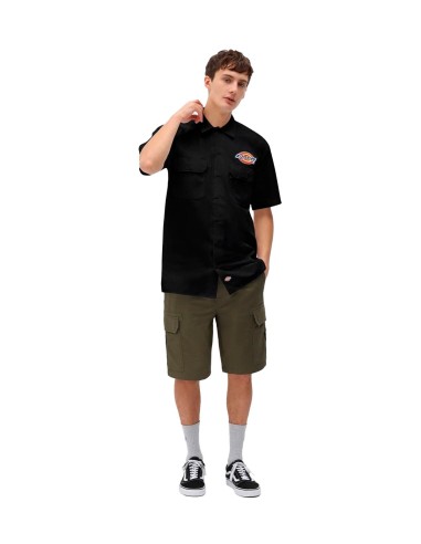 Dickies - Camisa Clintondale Rec