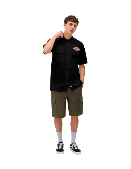 Dickies - Camisa Clintondale Rec