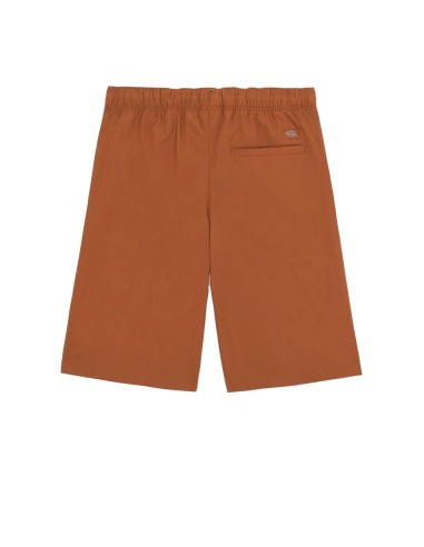 Dickies - Bermudas Fisherville