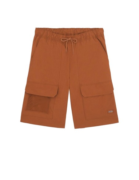 Dickies - Bermudas Fisherville
