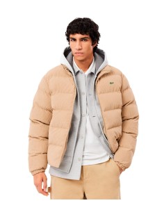 Lacoste - Chaquetón Acolchado Con Logo
