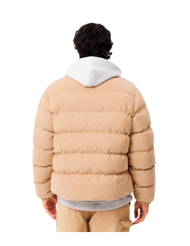 Lacoste - Chaquetón Acolchado Con Logo