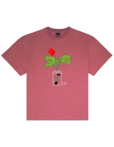 Pasdemer - Camisetas Lattina Tee