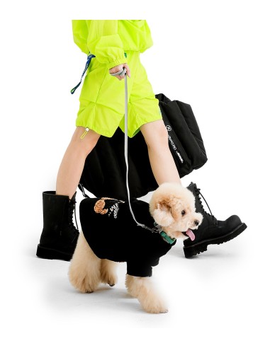 Mod Wave Movement - Traje para Mascota Teddy Capsule