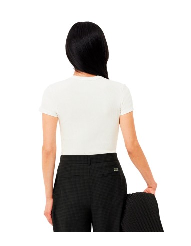 Lacoste - Camisetas Camisetas