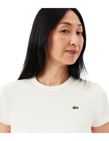 Lacoste - Camisetas Camisetas