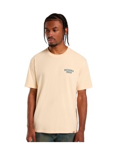 Dickies - Camiseta Mechanic S/S