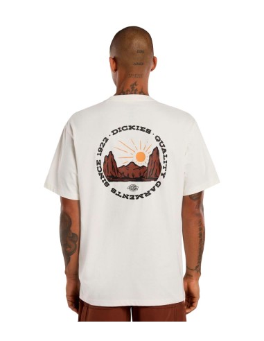Dickies - Camiseta Outdoor