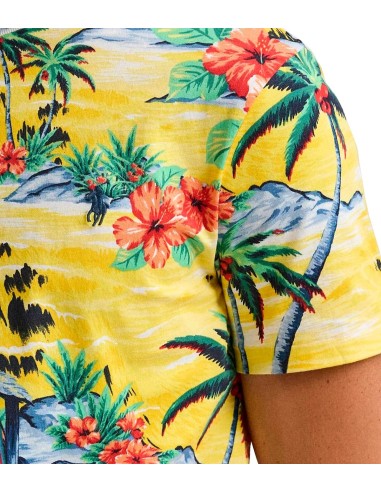 Polo Ralph Lauren - Camiseta Estampada