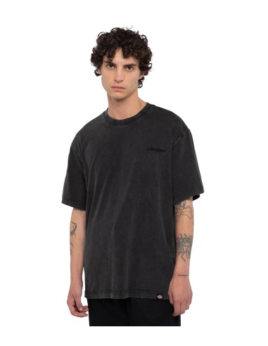 Dickies - Camiseta Plentywood