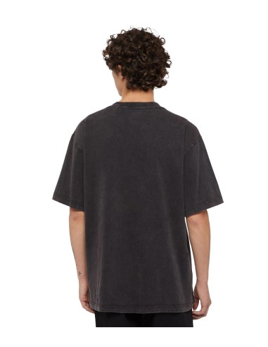 Dickies - Camiseta Plentywood