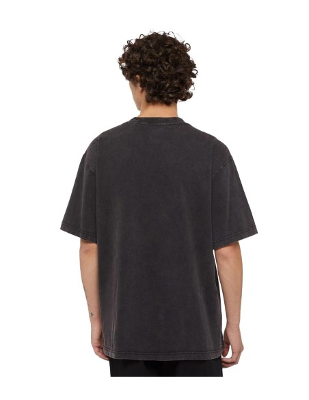 Dickies - Camiseta Plentywood