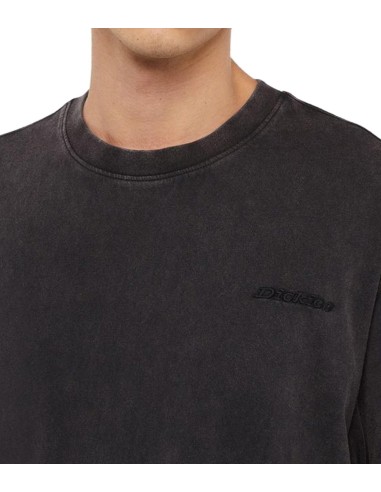 Dickies - Camiseta Plentywood