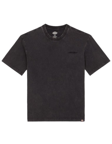 Dickies - Camiseta Plentywood
