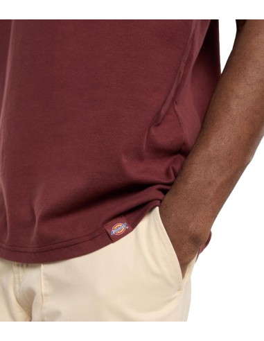 Dickies - Camiseta Burns Ligera