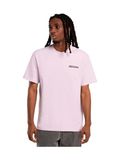 Dickies - Camiseta Statesville SS Winsom
