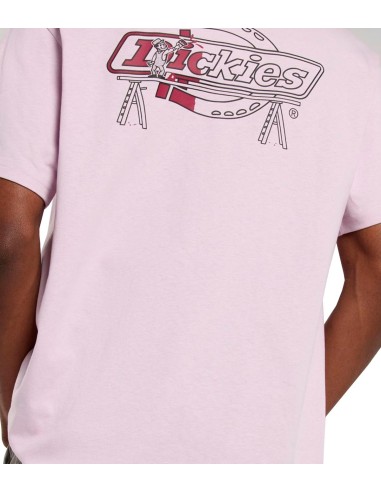 Dickies - Camiseta Statesville SS Winsom