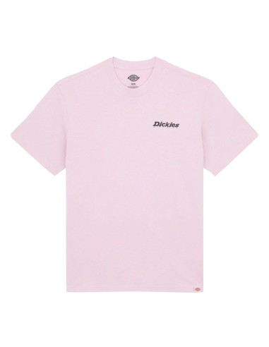 Dickies - Camiseta Statesville SS Winsom