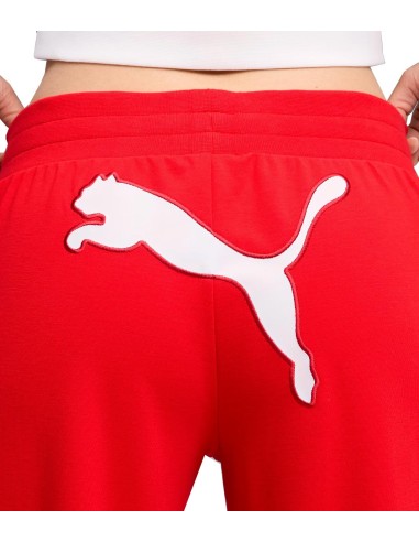 Puma - Pantalón Future Archive