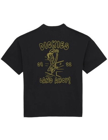Dickies - Camiseta SS Decartuville
