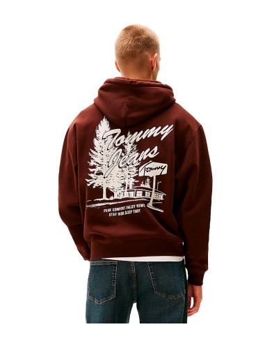 Tommy Jeans - Sudadera Con Capucha Novelty